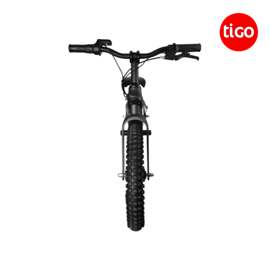 Kugoo Bike K01