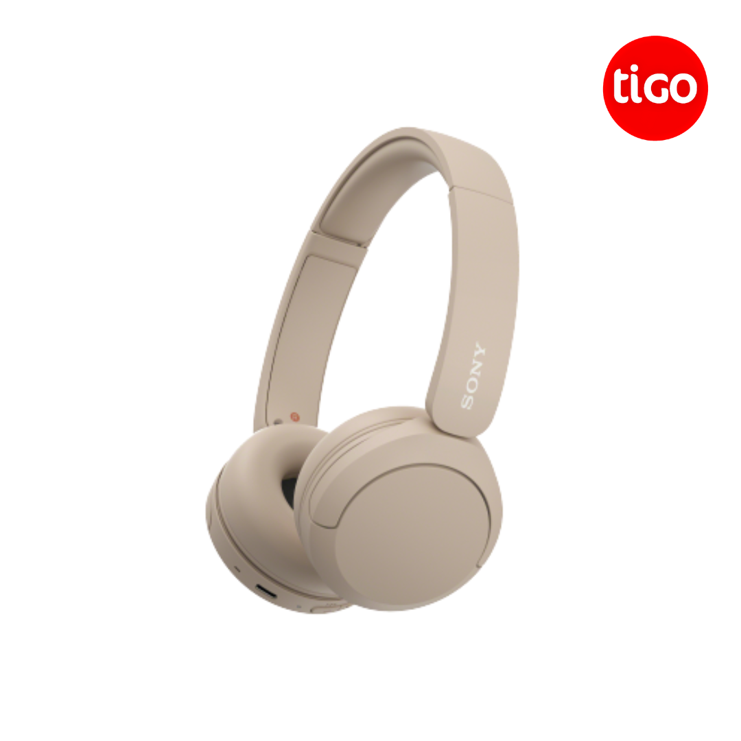 Sony Wireless Headphones - WH-CH520