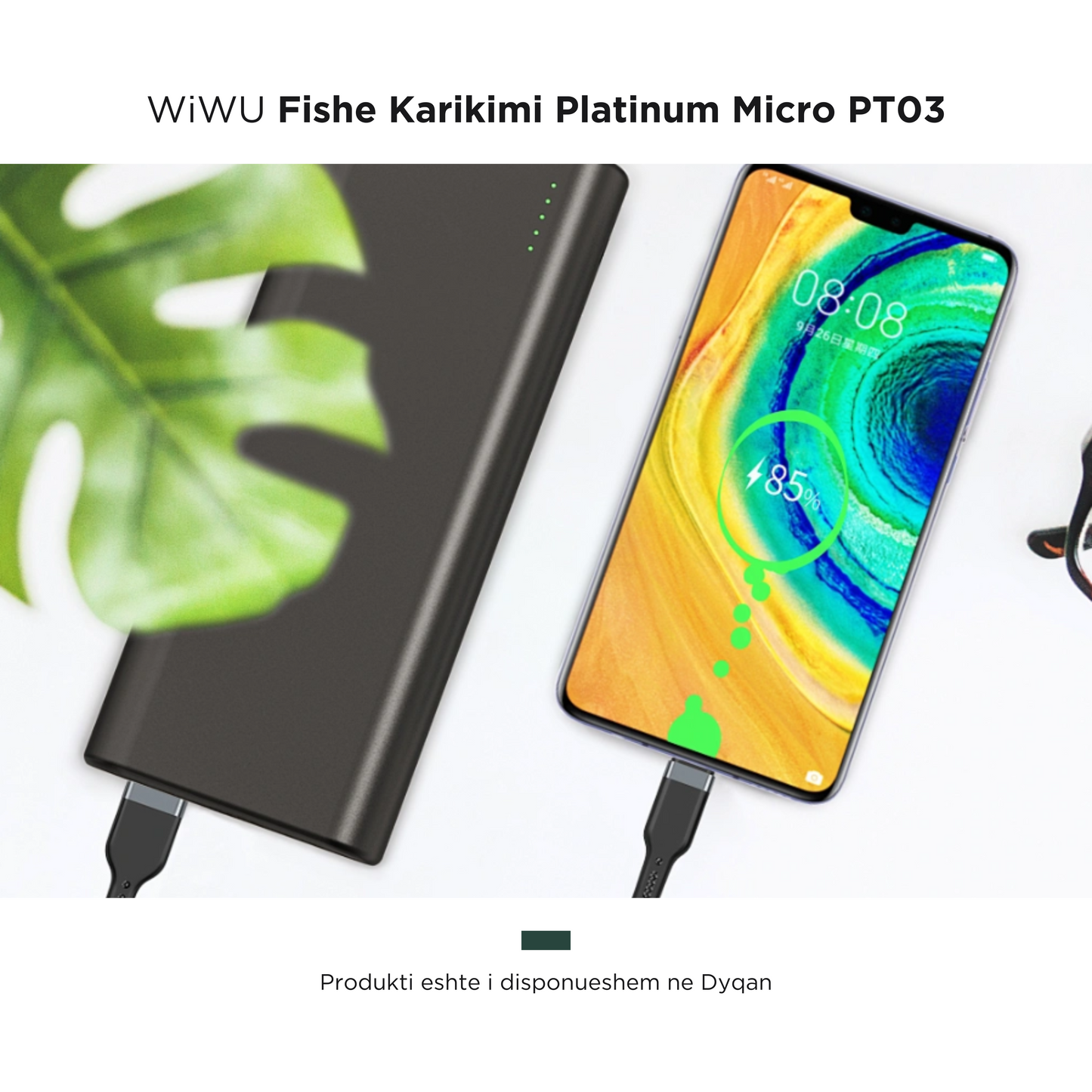 WiWU- Fishe Karikimi Platinum Micro PT03