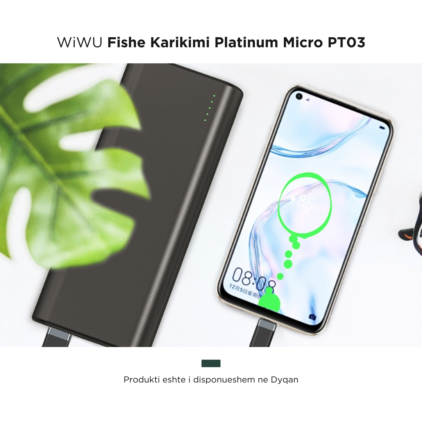 WiWU- Fishe Karikimi Platinum Micro PT03