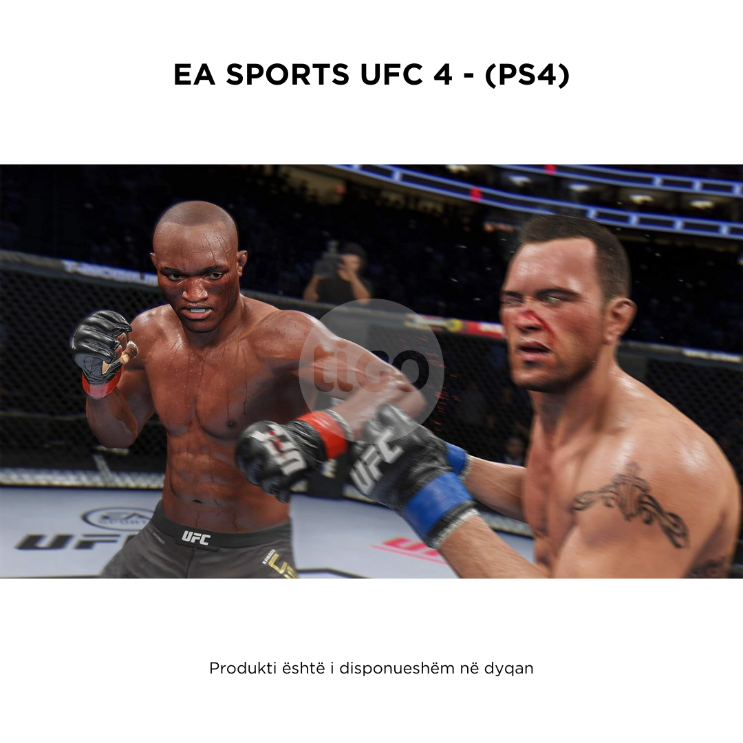 EA SPORTS Sony PS4 - UFC 4™