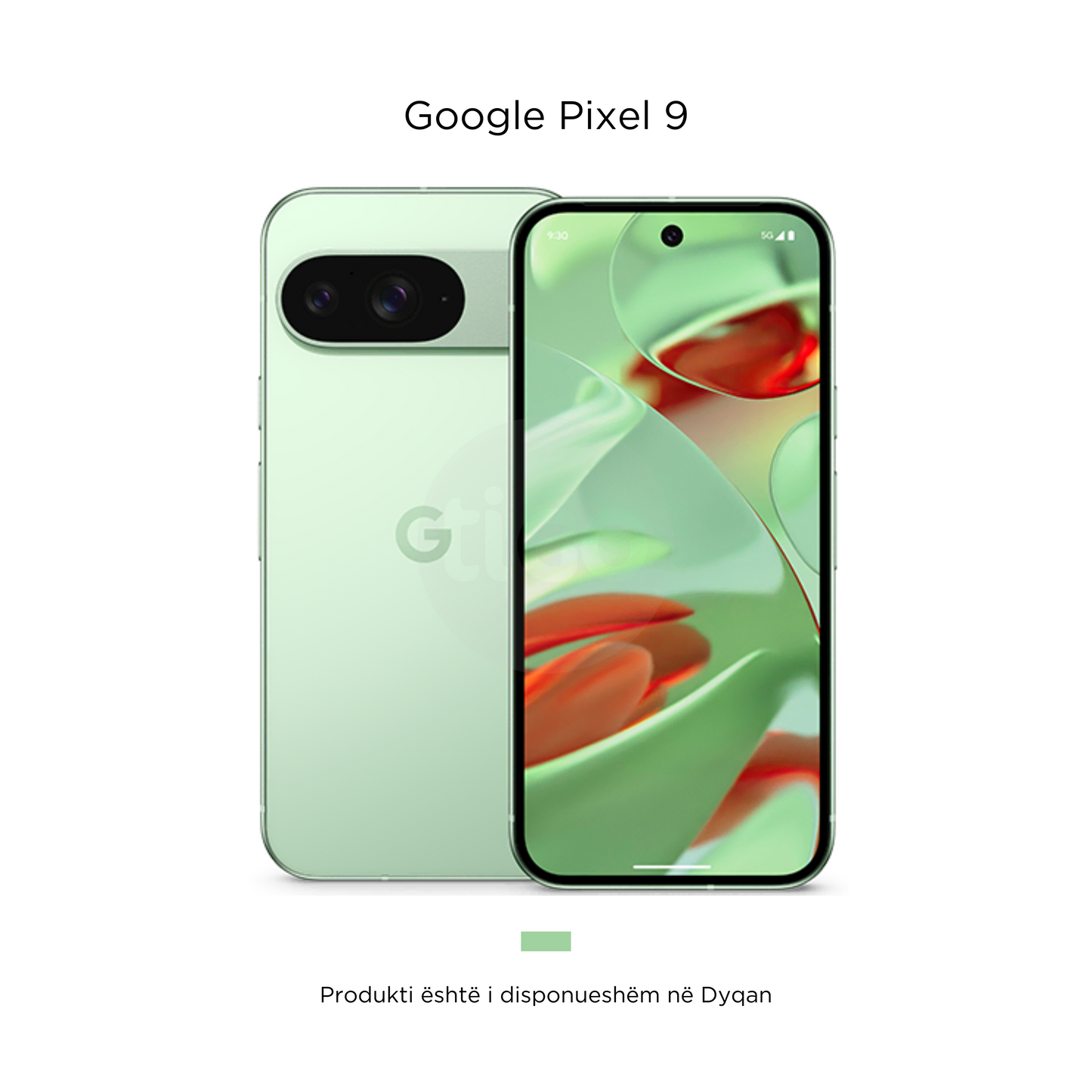 Google Pixel 9