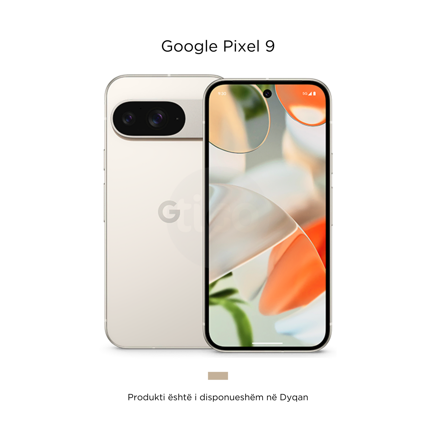 Google Pixel 9