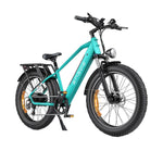 Bicikleta Elektrike ENGWE E26